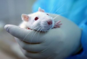 The First Human Case of Rat Hepatitis E Has been Discovered in Hong Kong