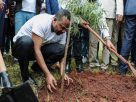 Ethiopia has planted 350 million trees in one day