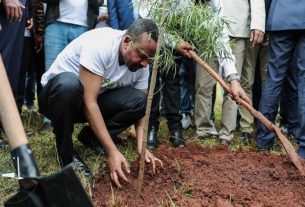 Ethiopia has planted 350 million trees in one day