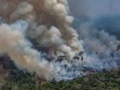 Amazon on fire: Bolsonaro does not expect to accept the 20 million G7