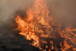 Researchers invent a fire-fighting gel to prevent forest fires