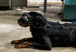 US Army tests augmented reality glasses for fighting dogs