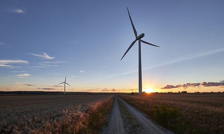 Wind power is on the rise: new parks will be smaller and produce even more electricity