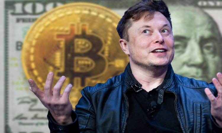 Elon Musk's investments affected the cryptocurrency market