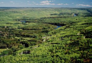 Study confirms impact of boreal forests on low clouds