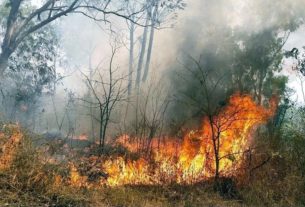 Droughts: a propagation mechanism similar to that of forest fires