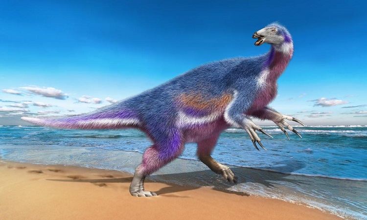 This dinosaur used its long claws to graze by the sea