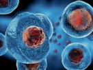 Stem Cell Therapy Market